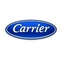 Carrier